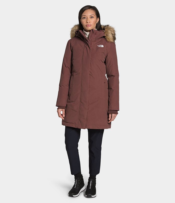 Parka The North Face Mujer Marrones Arctic 25760MKWT